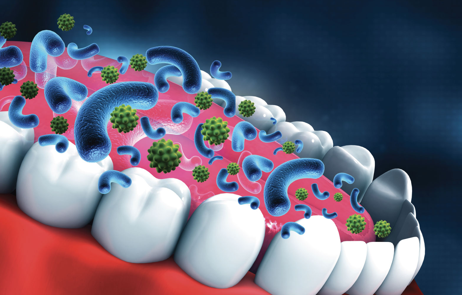 microbioma orale studio dentistico muzzarelli